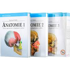 Cihak anatomia atlas medicina