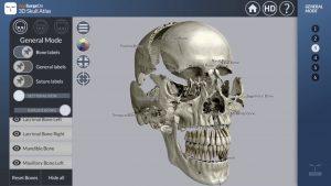 anatomia mobilna aplikacia lebka
