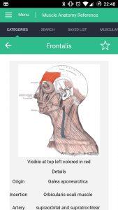 anatomia aplikacia mobil svaly