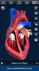 anatomia aplikacia mobil srdce