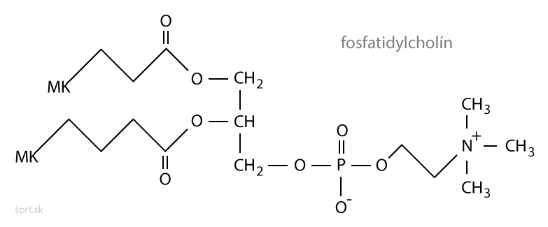fosfatidylcholín