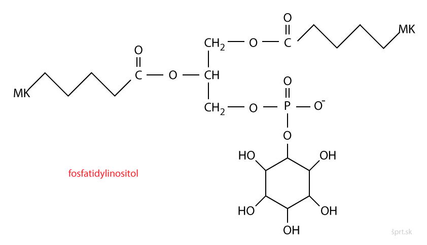 fosfatidylinositol