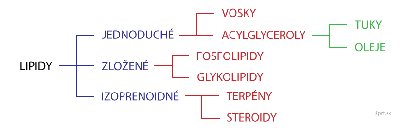 lipidy delenie