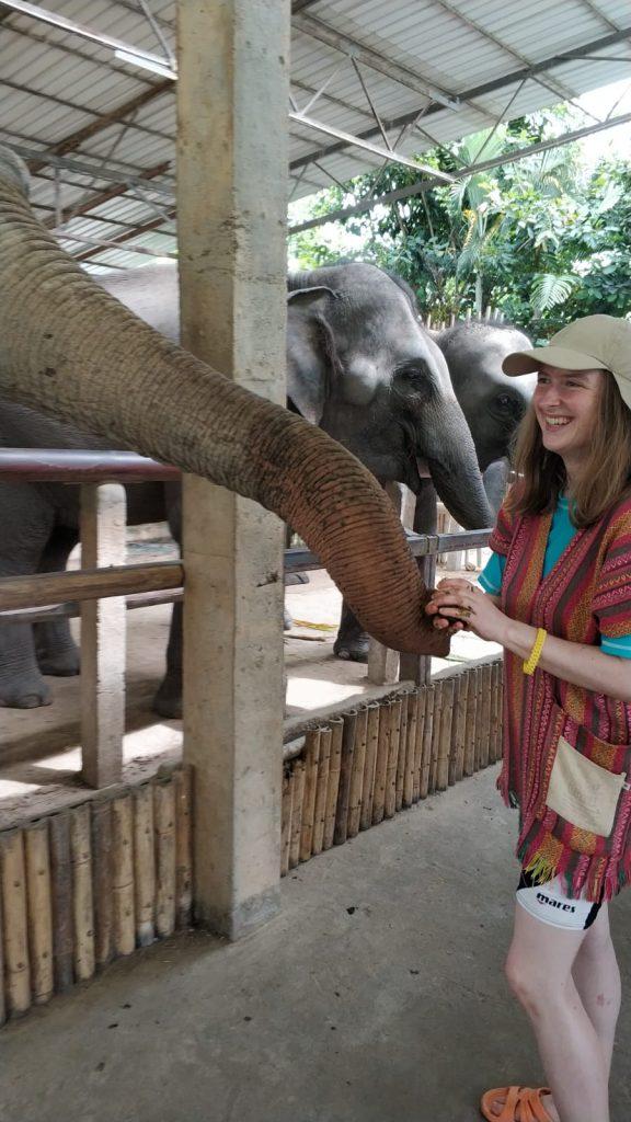 zahranična staz Thajsko Ivana Kravarova slony