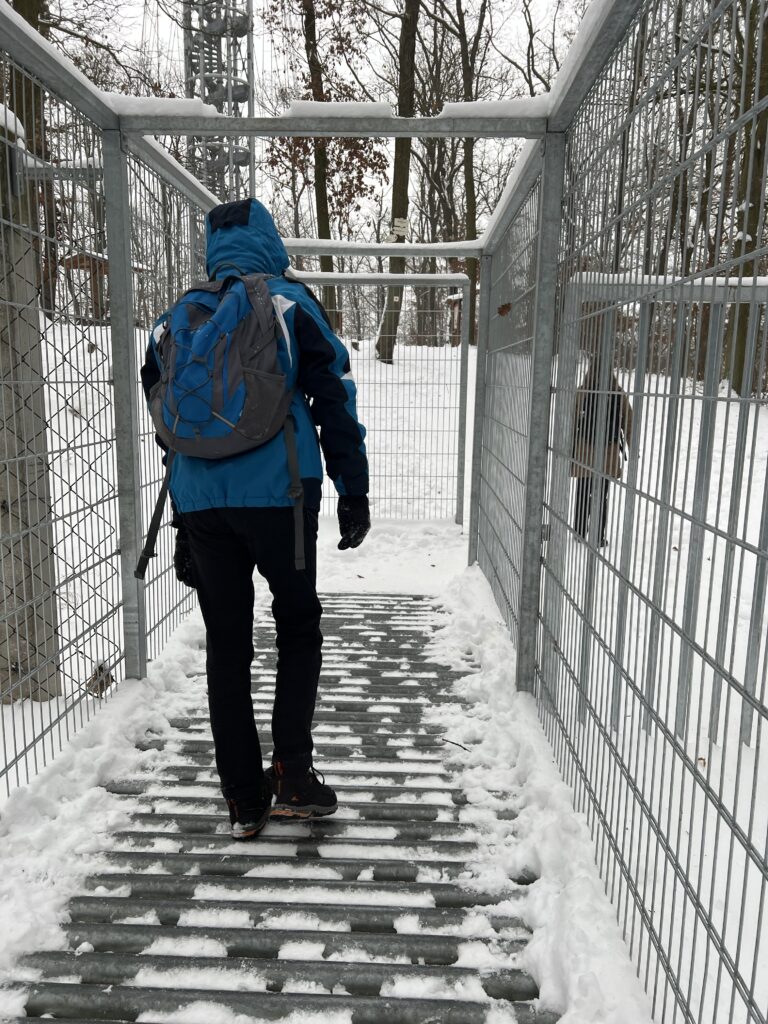 výlet v Brne rozhľadňa Holedná